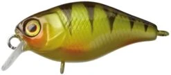 Illex Chubby 38mm/4gr (Float. Perch)