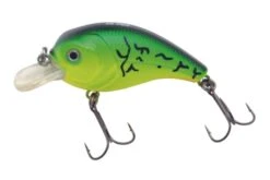 XS-Pro Charger 62mm/7gr Fire Tiger